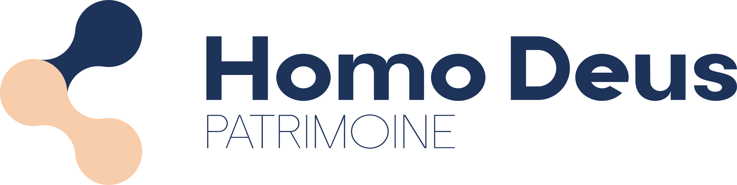 Logo Homo Deus en couleur